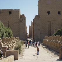 Luxor Day Tours